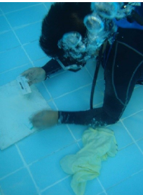 Pool-fix™
